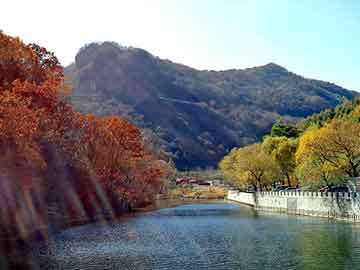 奥门天天开奖免费资料，丰田霸道论坛